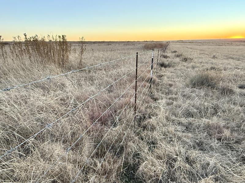 0 Bedroom Property for Sale in Warden Free State
